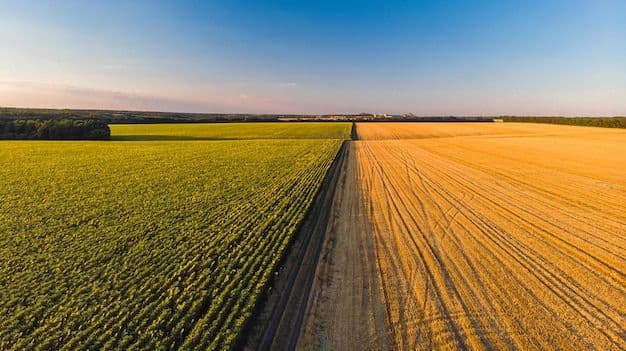 Agricultural production landscape